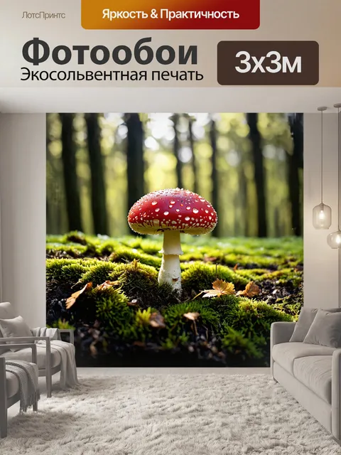 Фотообои яркий красный мухомор