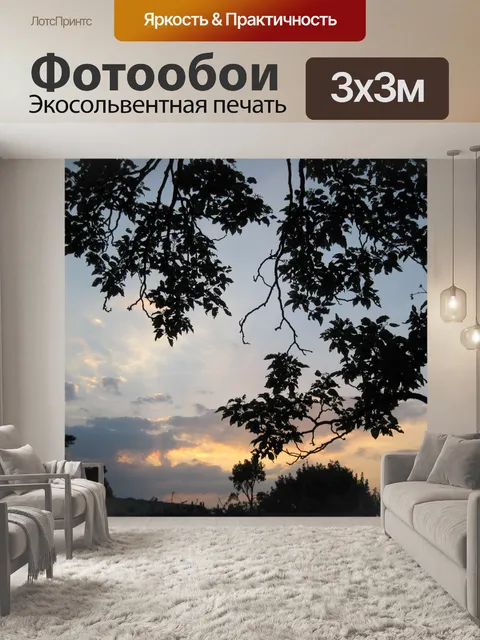 Фотообои листва силуэт и закат