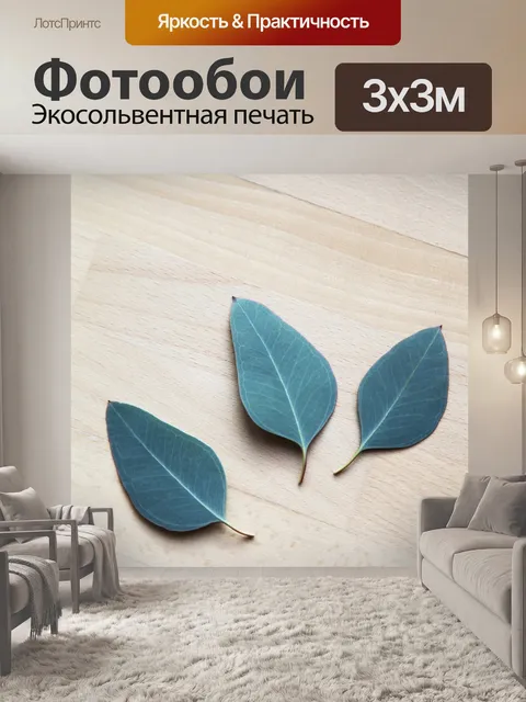 Фотообои Эвкалипт