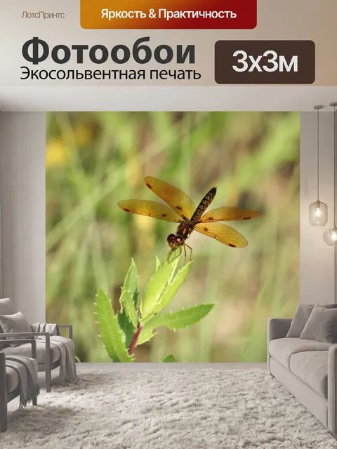 Фотообои Восточно-янтарная стрекоза