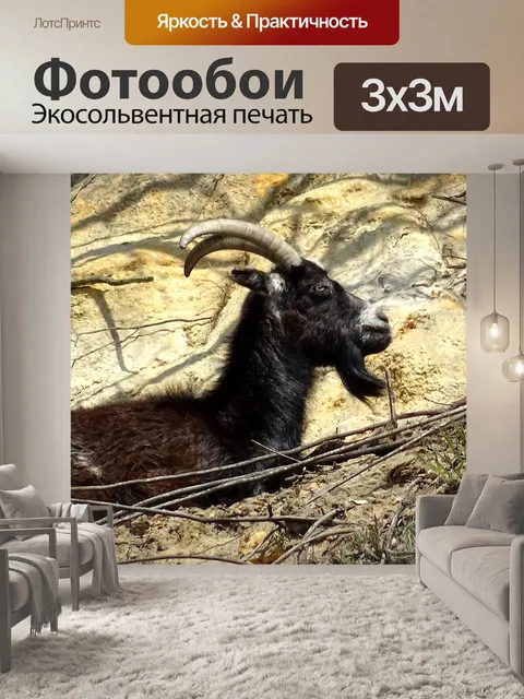 Фотообои Коза на горе