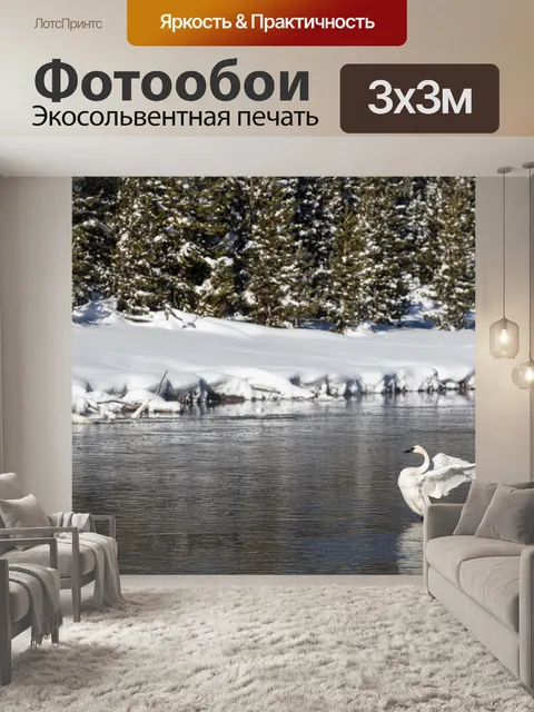 Фотообои Лебедь-трубач