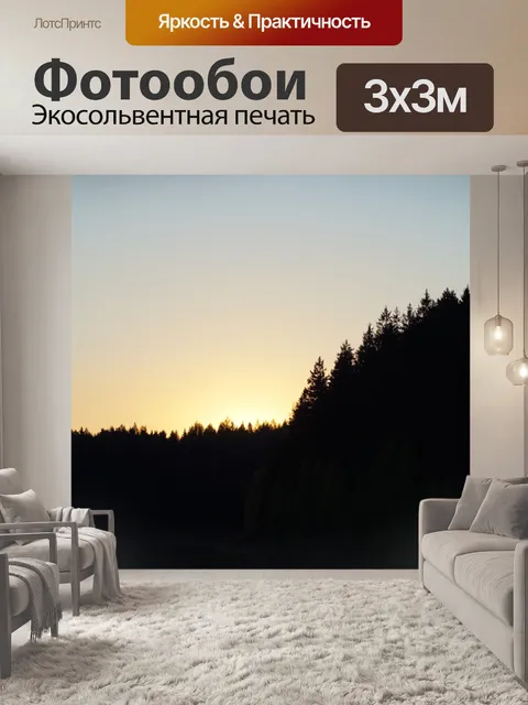 Фотообои Лес