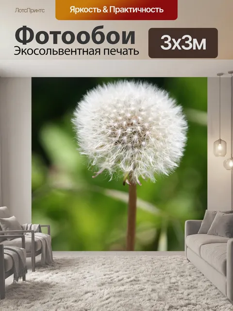 Фотообои Одуванчик