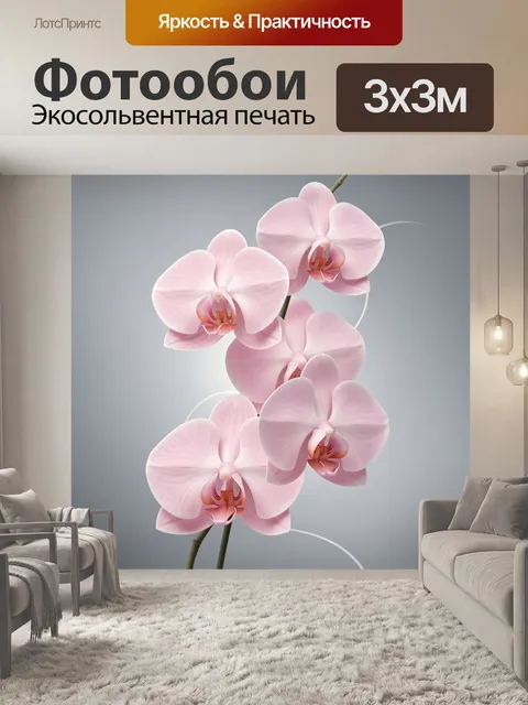 Фотообои Розовые орхидеи на сером фоне