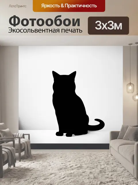 Фотообои стильный минимализм в черно-белом исполнении: изящный контур черной кошки