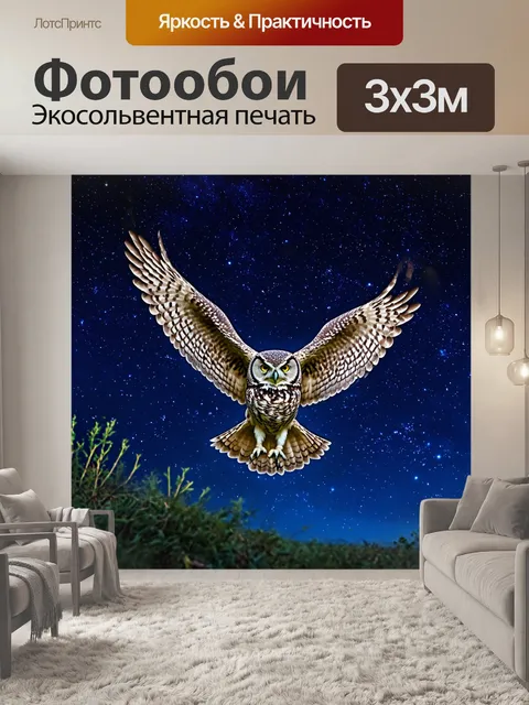 Фотообои охота: на ясном звездном небе, где сова взлетает, рисуя магические пути в воздухе