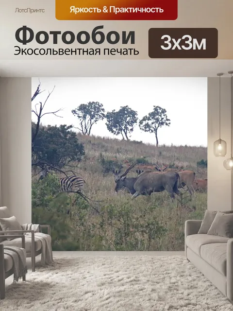 Фотообои эланд и зебра движутся вдоль