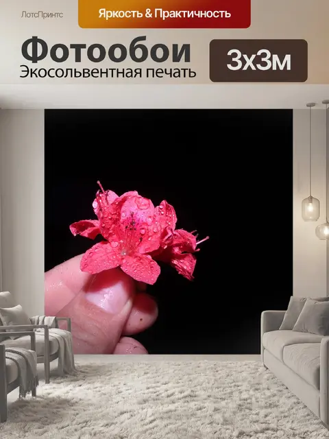 Фотообои Цветы