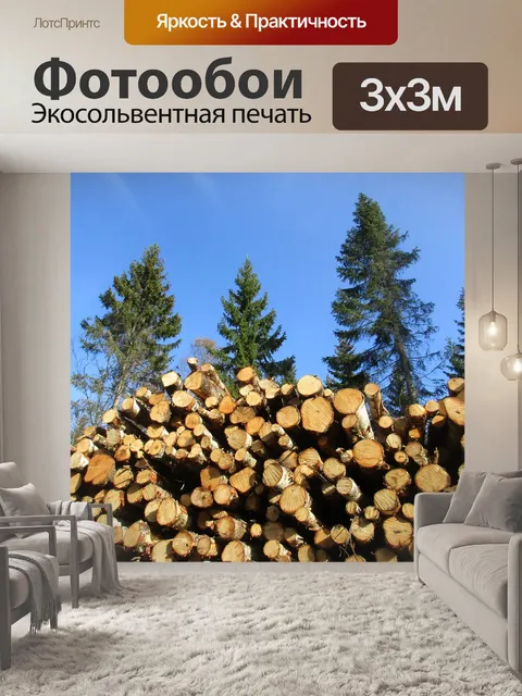 Фотообои Береза