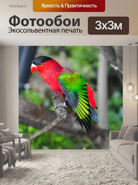 Фотообои Птица