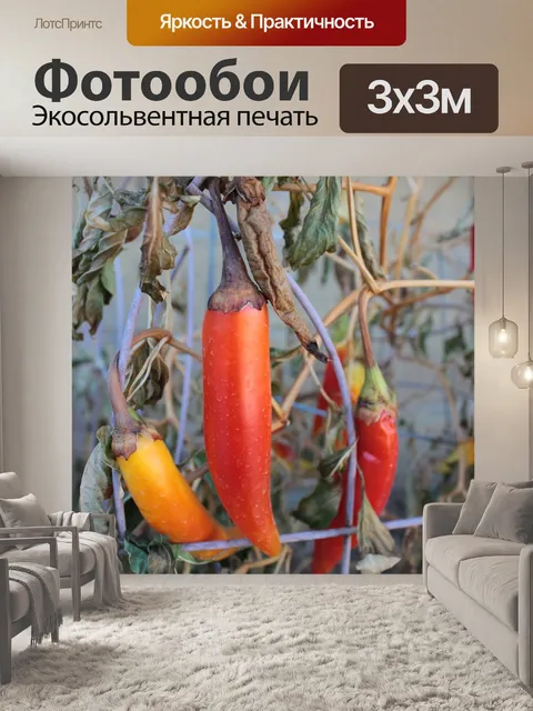 Фотообои Перец