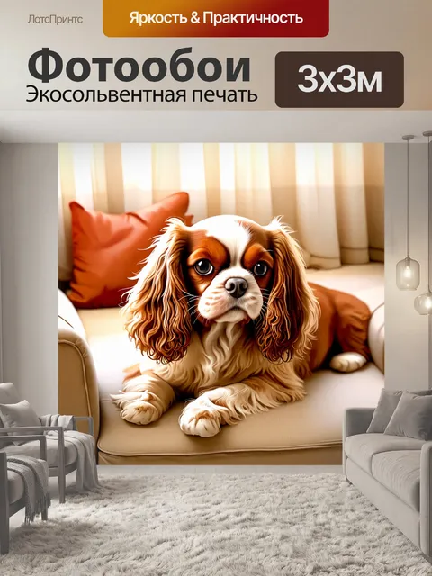 Фотообои уютный домашний интерьер с мягким диваном, на котором игриво лежит собака породы кавалер кинг чарльз спаниель