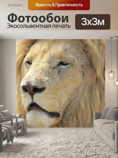 Фотообои Белый лев