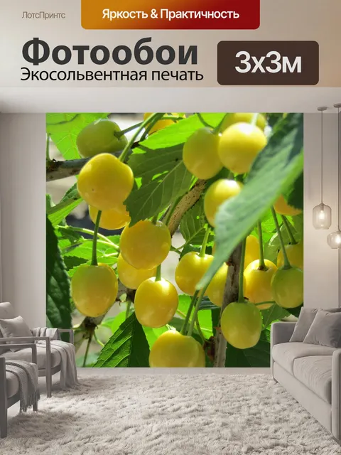 Фотообои Черешня