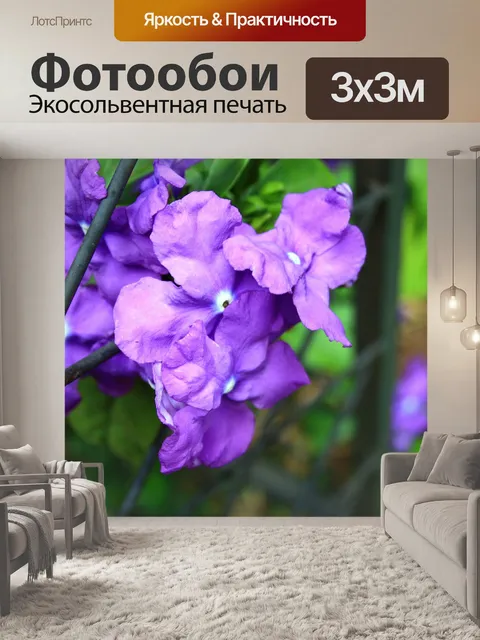 Фотообои Brunfelsia цветы