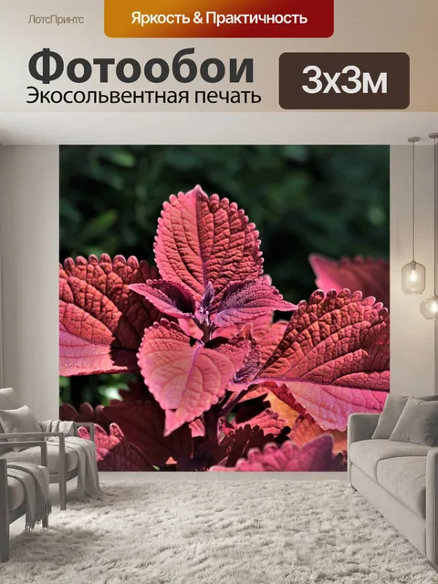 Фотообои Красные листья Колеуса крупным планом