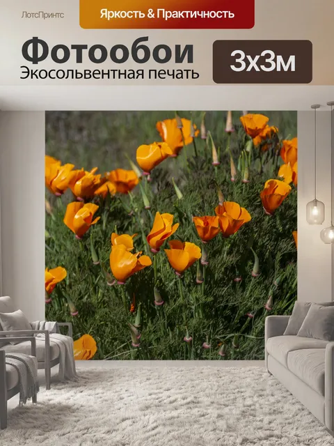 Фотообои маки