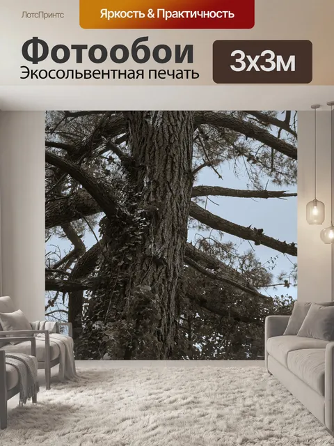 Фотообои Старая сосна в лесу