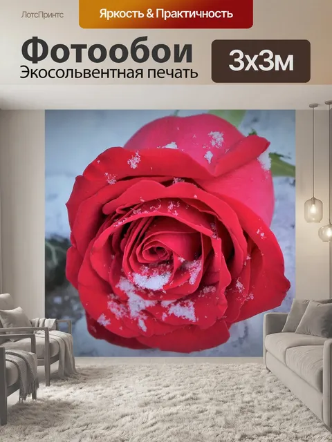 Фотообои Красная роза в снегу