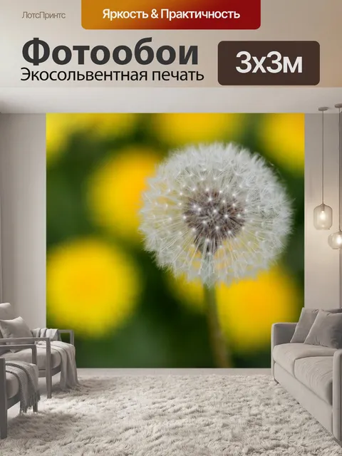 Фотообои Одуванчик