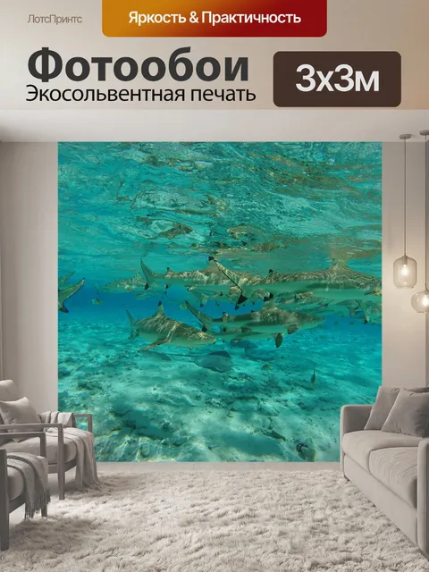 Фотообои Акула