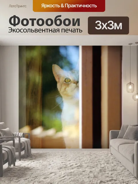 Фотообои Оранжевый кот, глядя из окна