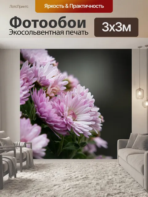 Фотообои Розовые цветы, Хризантемы
