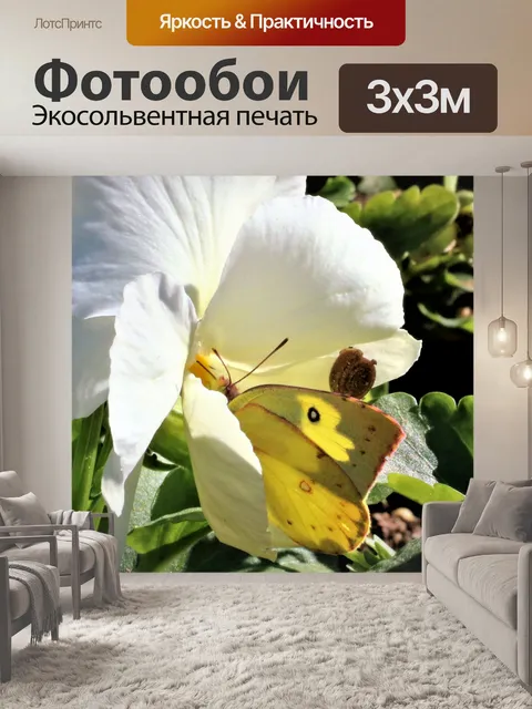 Фотообои Бабочка и улитка на белом цвете