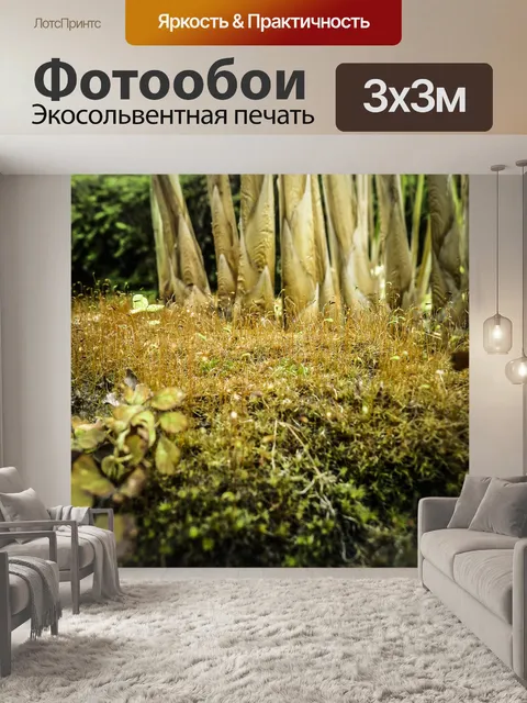 Фотообои Трава
