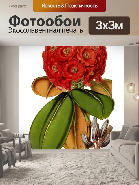 Фотообои Рододендрон Винтаж Искусство Цветок