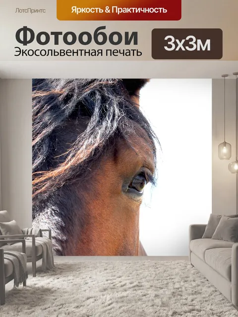 Фотообои Лошадь