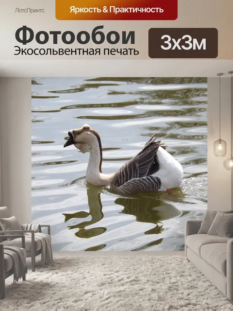 Фотообои Гусь