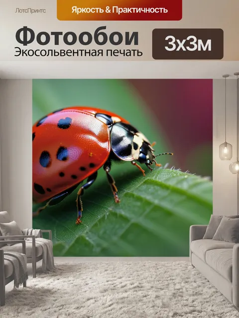 Фотообои божья коровка на границе двух цветов
