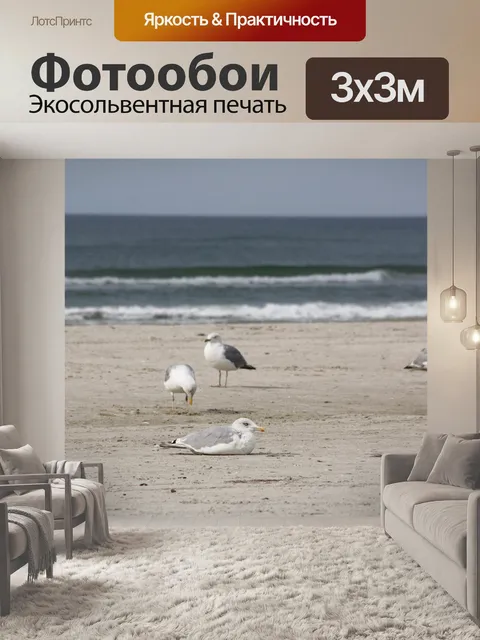 Фотообои Чайки
