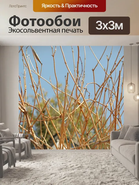 Фотообои Зима