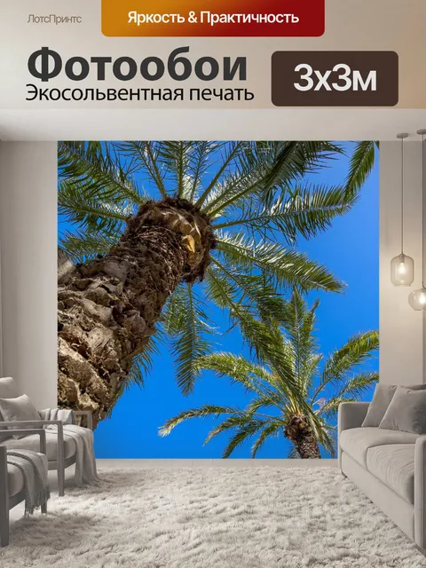 Фотообои Пальмы и голубое небо