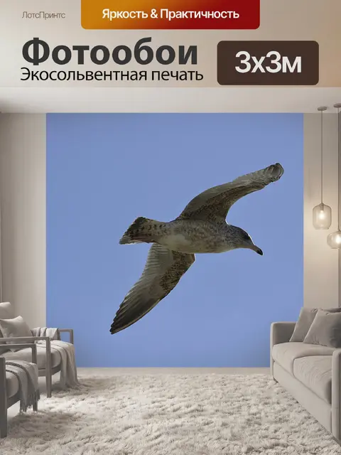 Фотообои Птица