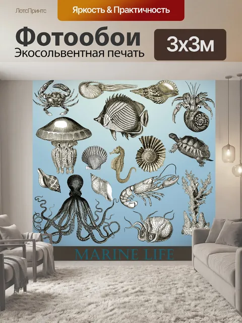 Фотообои Морские животные