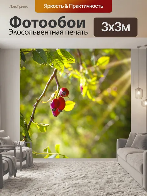 Фотообои Шиповник