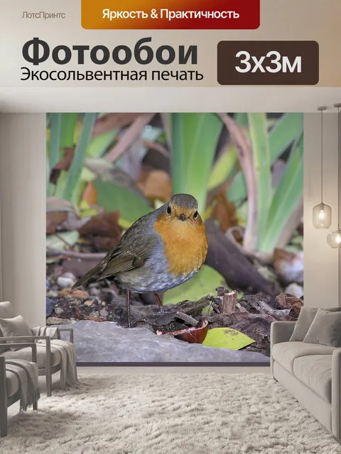 Фотообои Птичка