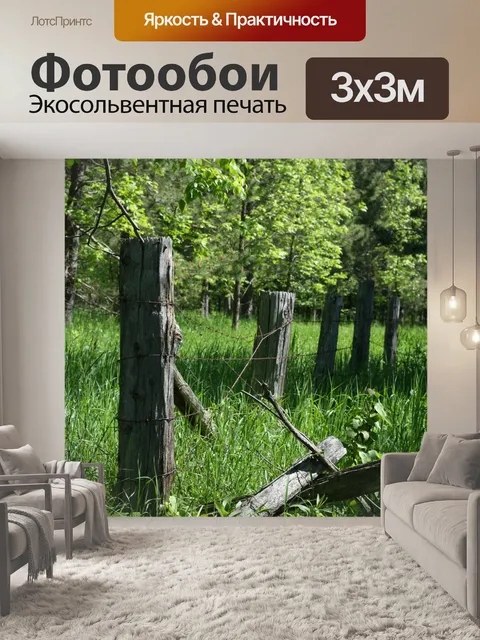 Фотообои старый колючей проволоки
