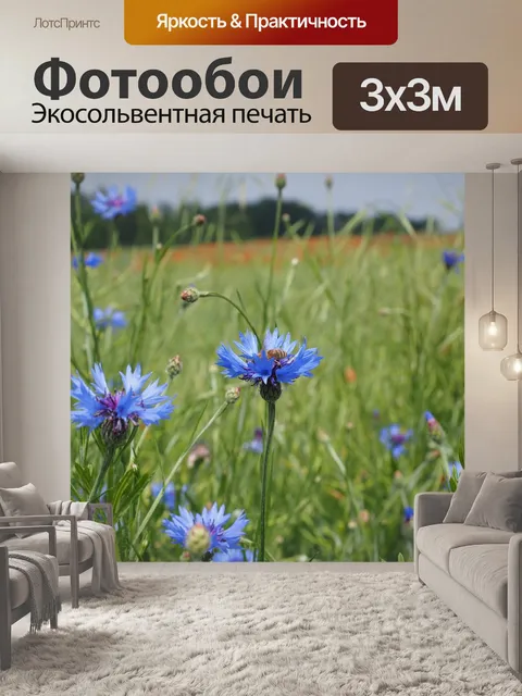Фотообои Васильки