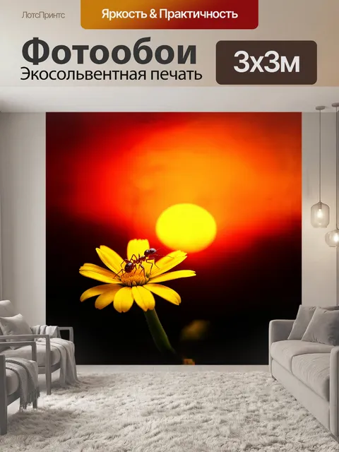 Фотообои на фоне заката муравей ползёт по желтому цветку