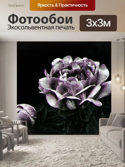 Фотообои обработка Летний цветок сообщение