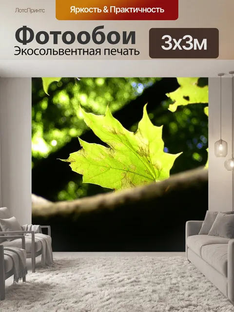 Фотообои Лист