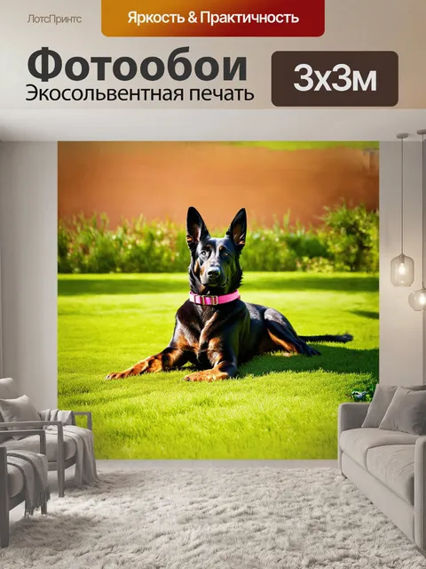 Фотообои черная немецкая овчарка в ошейнике с розовым воротником
