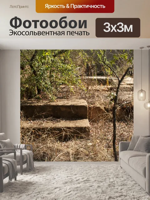 Фотообои старые бетонные ступени с растительность