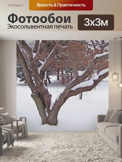 Фотообои Деревья в снегу