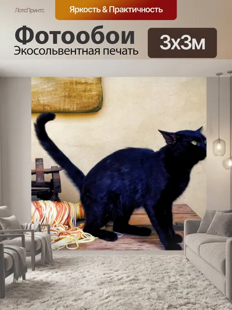 Фотообои черная кошка